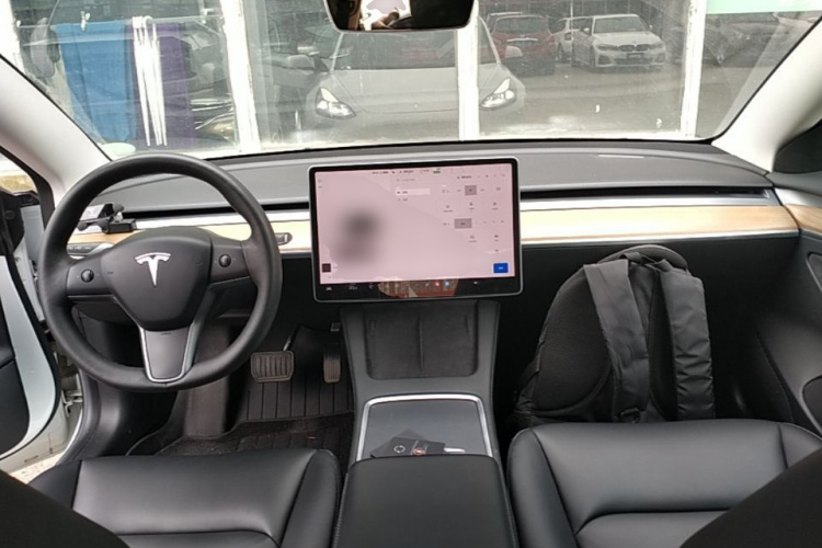 Tesla Model 3 2023 car image #10