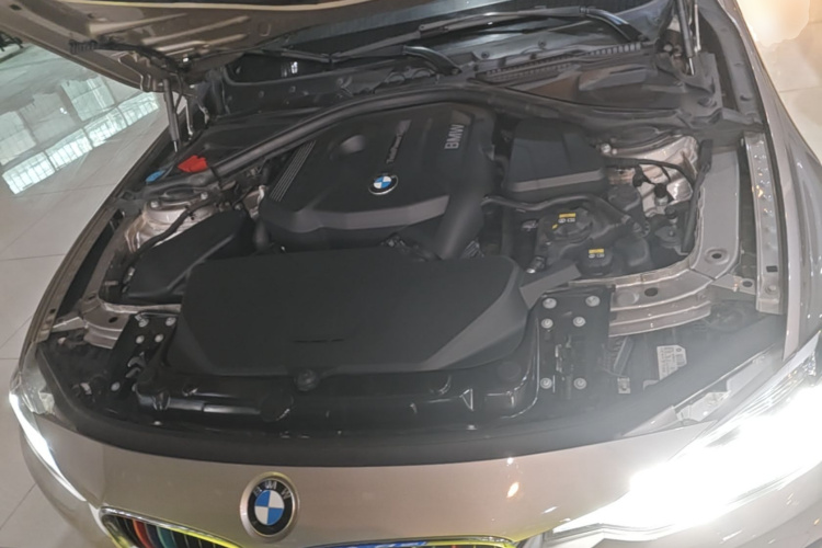 BMW 3 Series 2017 car image #20