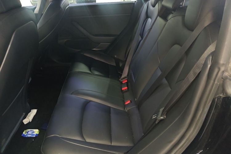 Tesla Model 3 2020 #17 Tesla Model 3 2020 car image #17