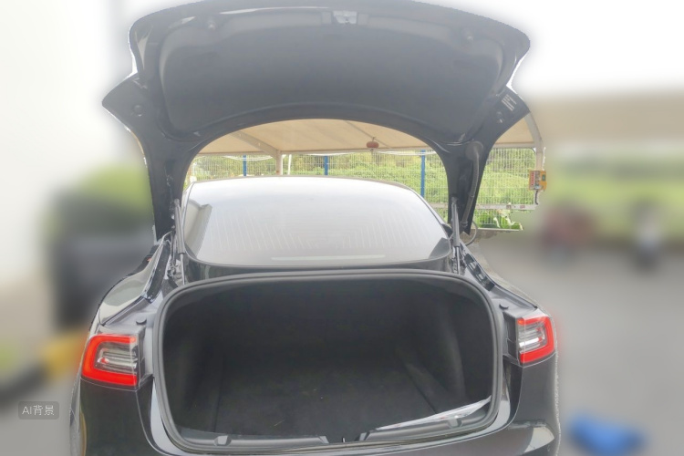 Tesla Model 3 2020 #21 Tesla Model 3 2020 car image #21
