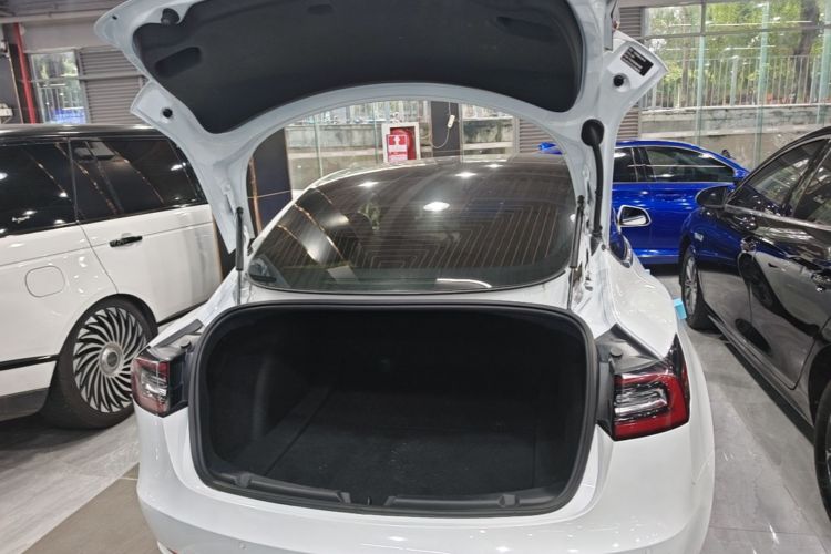 Tesla Model 3 2020 #19 Tesla Model 3 2020 car image #19