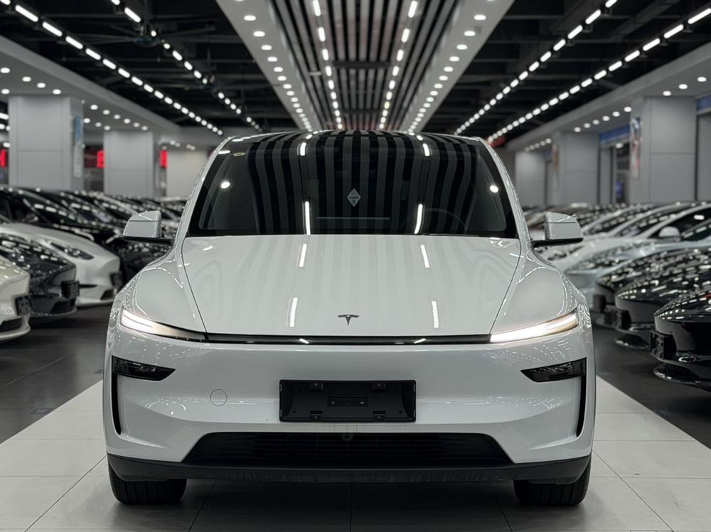 Tesla Model Y 2025 car image #2