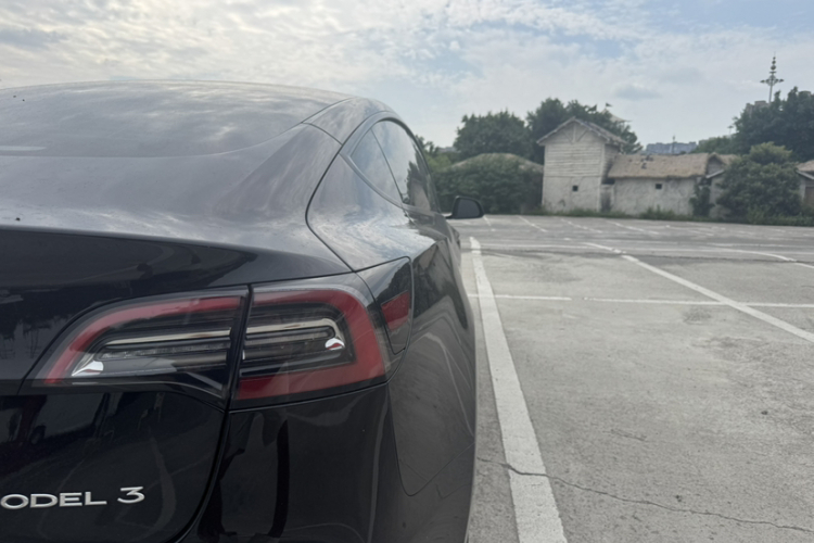 Tesla Model 3 2021 #9 Tesla Model 3 2021 car image #9