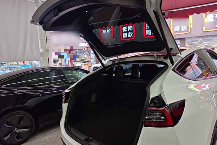Tesla Model Y 2023 #19 Tesla Model Y 2023 car image #19
