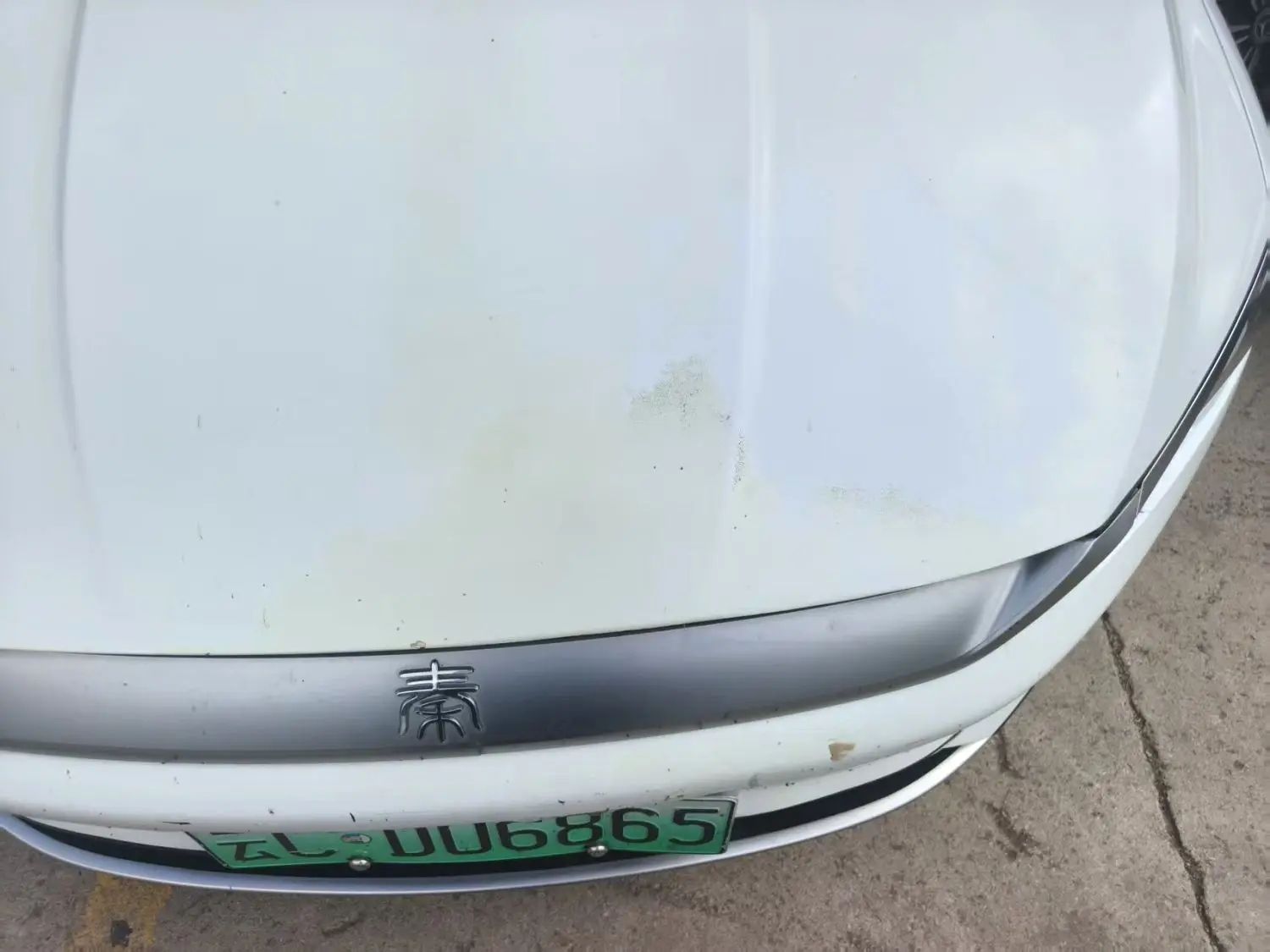 BYD Qin Plus 2021 #9 BYD Qin Plus 2021 car image #9