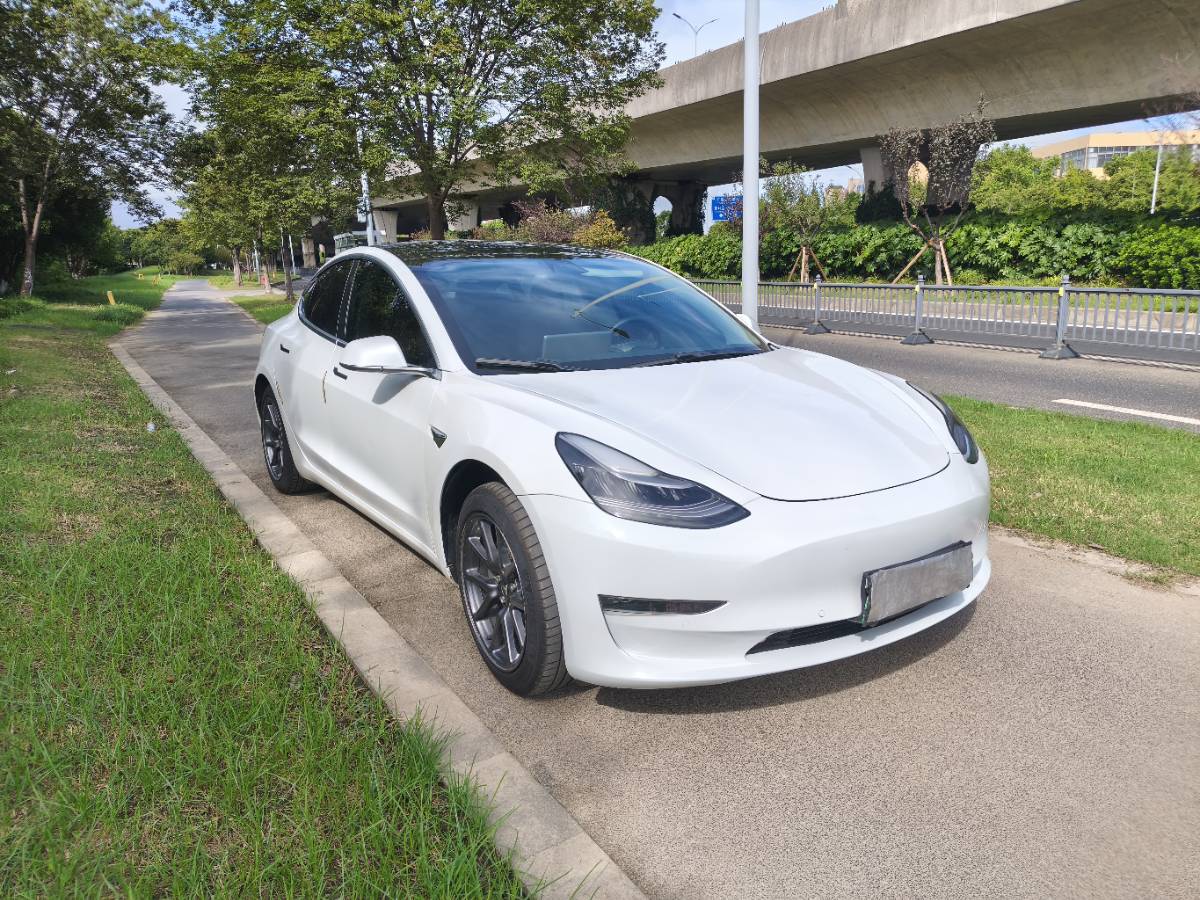 Tesla Model 3 2020 #6 Tesla Model 3 2020 car image #6