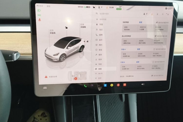 Tesla Model Y 2023 car image #13