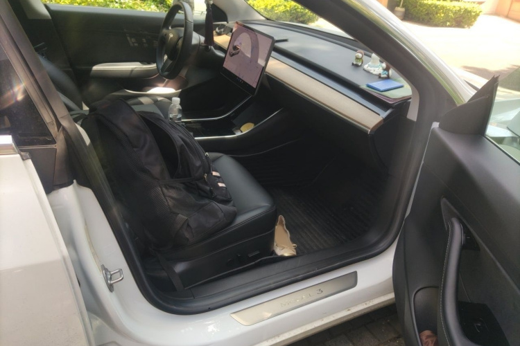 Tesla Model 3 2020 car image #24