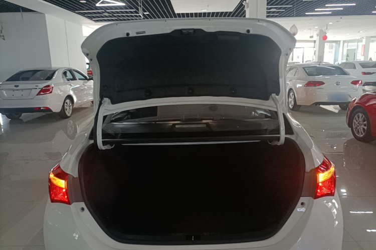 2016 #17 2016 car image #17