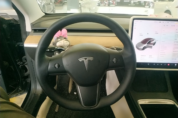 Tesla Model 3 2021 car image #11