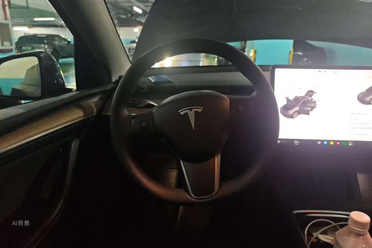 Tesla Model Y 2021 car image #12