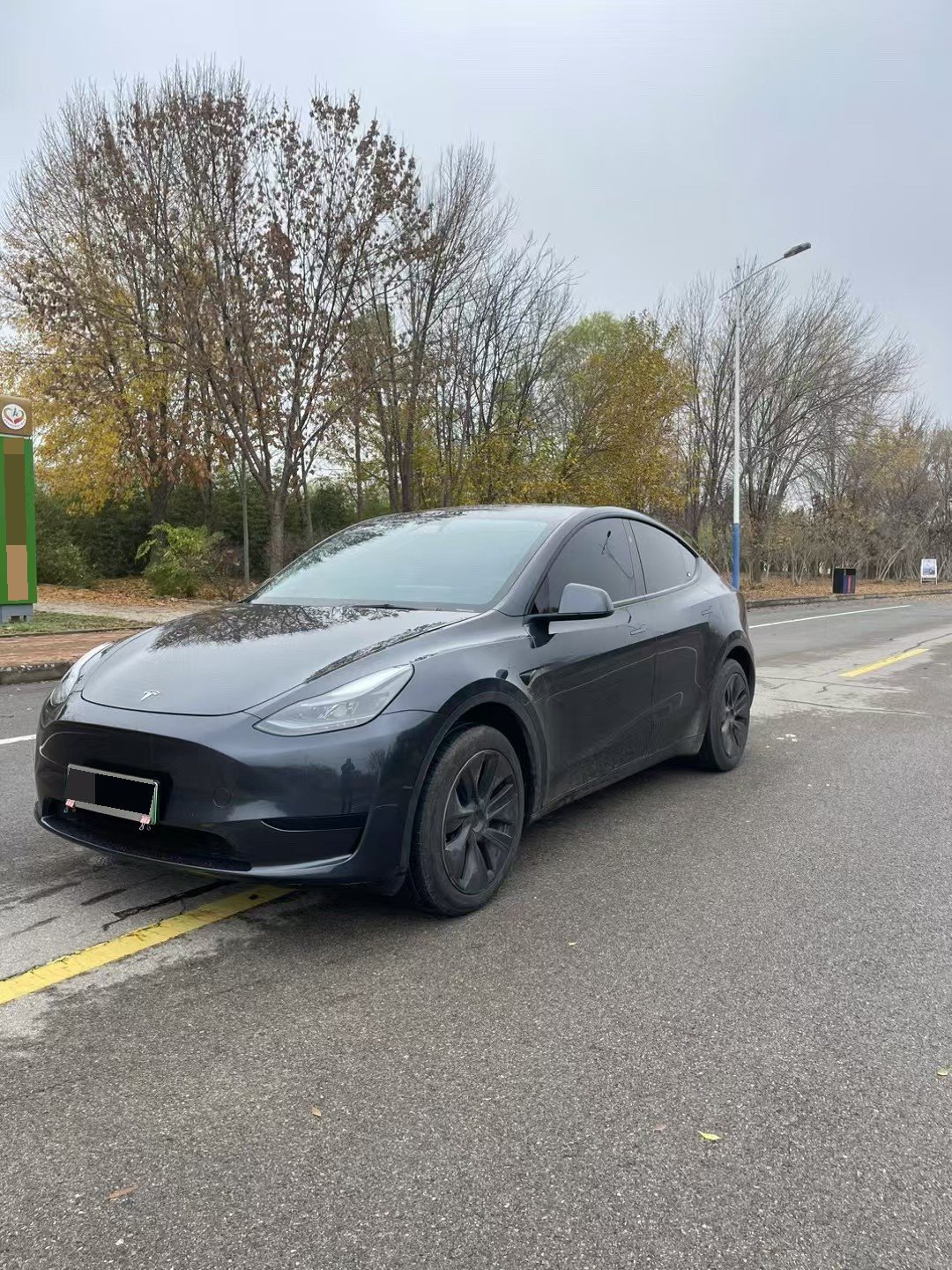 Tesla Model Y 2024 Tesla Model Y 2024 car image