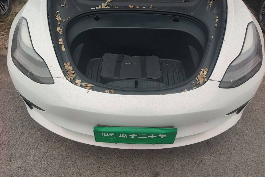 Tesla Model 3 2021 car image #10