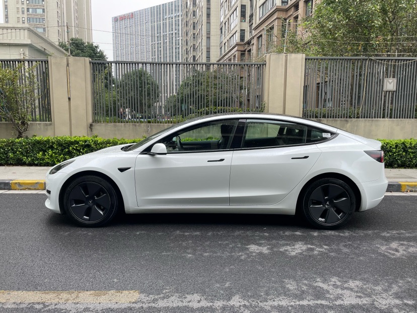 Tesla Model 3 2021 #4 Tesla Model 3 2021 car image #4