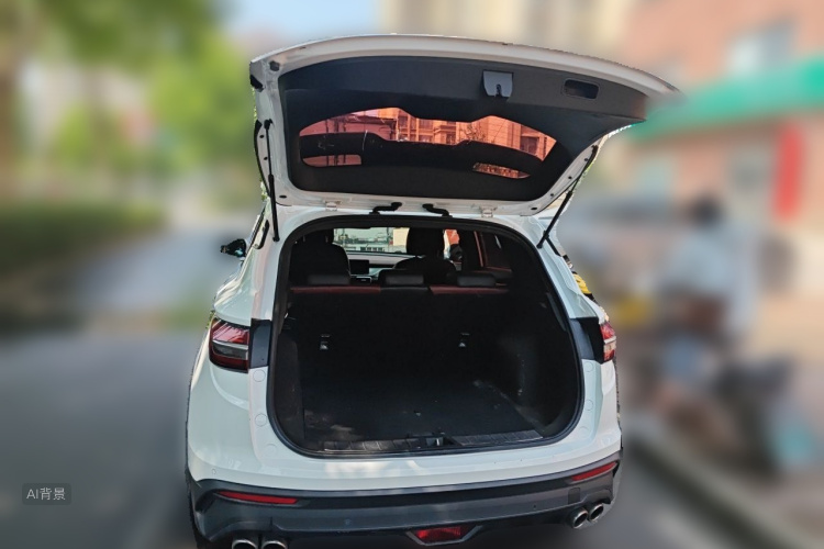 2019 #21 2019 car image #21
