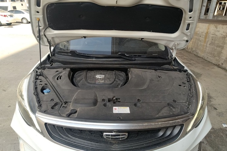GEELY Emgrand GS 2020 #20 GEELY Emgrand GS 2020 car image #20