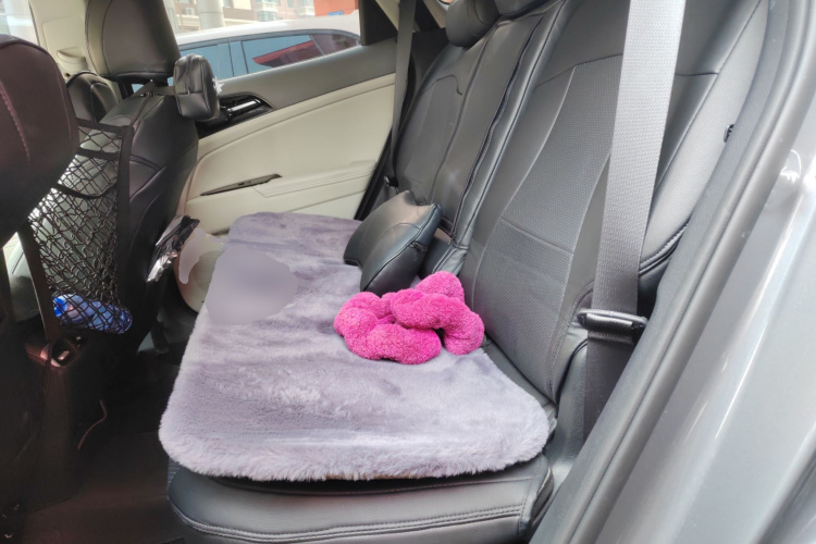 起亚 狮铂拓界 2024 汽车图片 #14