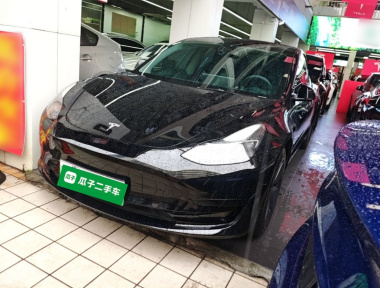 Tesla Model 3 2021 Tesla Model 3 2021 immagine di auto