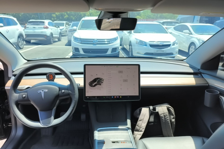 Tesla Model 3 2022 car image #11