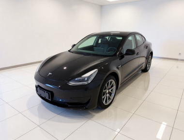 Tesla Model 3 2023 Tesla Model 3 2023 car image