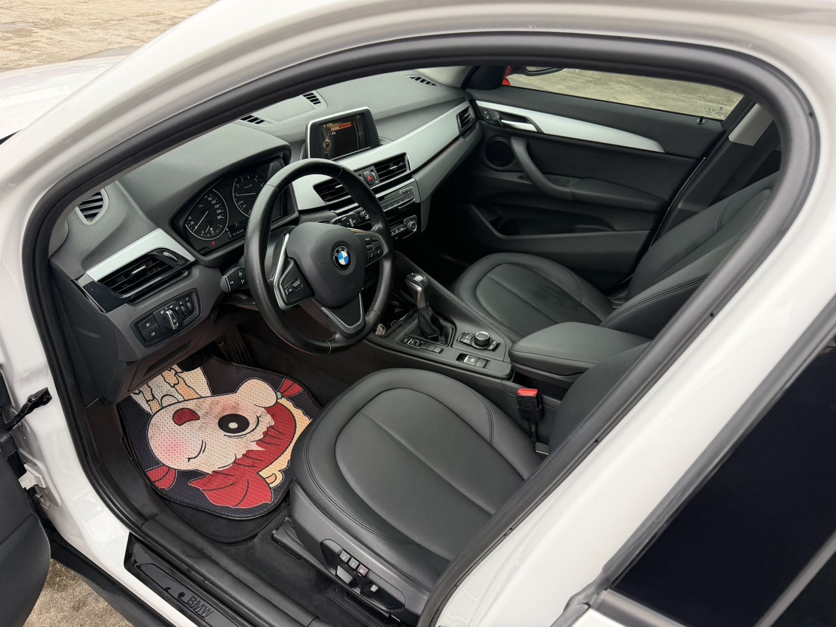 BMW X1 2017 car image #8