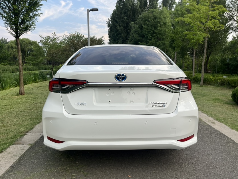 Toyota Corolla 2022 car image #6