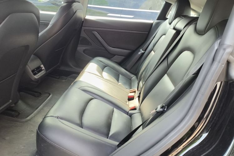 Tesla Model 3 2020 #17 Tesla Model 3 2020 car image #17