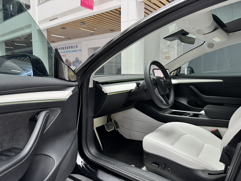 Tesla Model 3 2022 car image #8