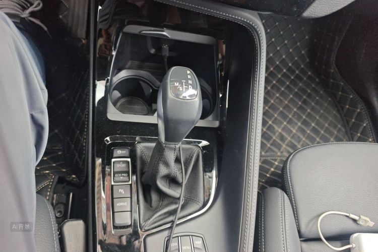 BMW X1 New Energy 2020 car image #16