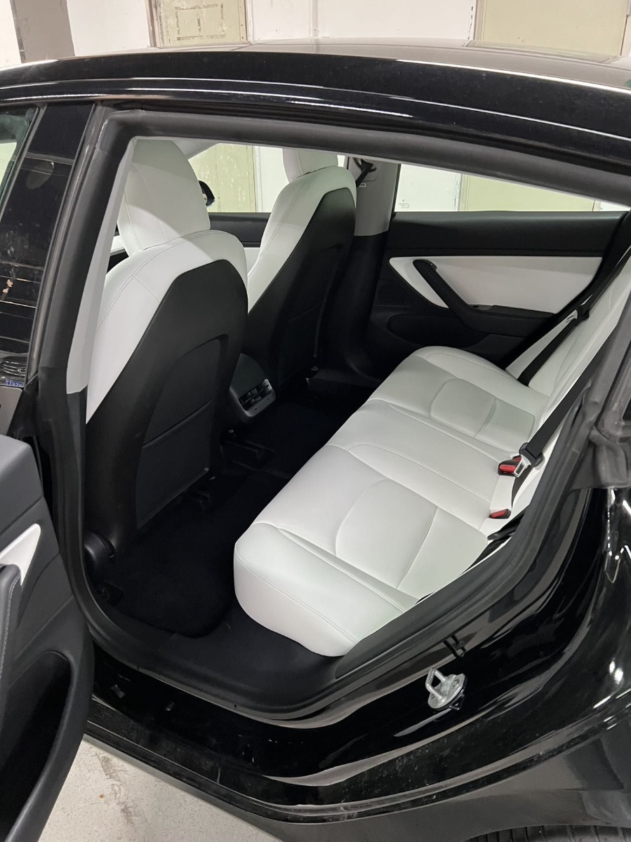 Tesla Model 3 (Imported) 2020 car image #3