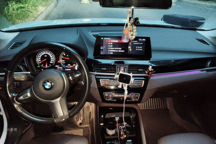 BMW X1 2020 car image #11