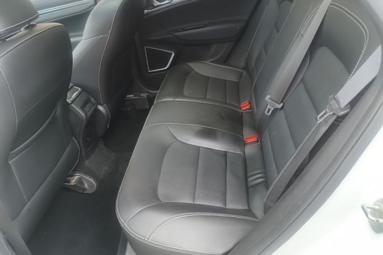 GEELY Emgrand GS 2019 #13 GEELY Emgrand GS 2019 car image #13
