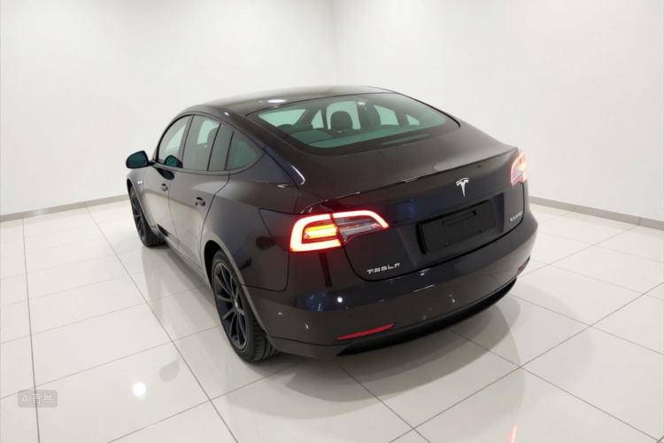 Tesla Model 3 2023 #5 Tesla Model 3 2023 car image #5