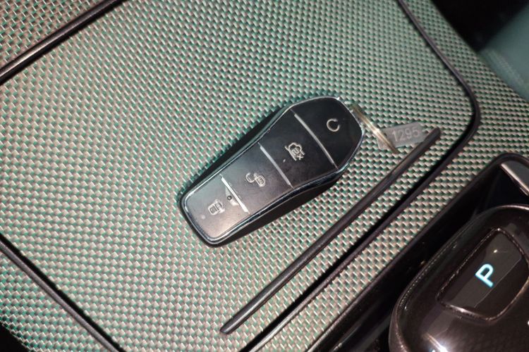 比亚迪 汉 2022 汽车图片 #9