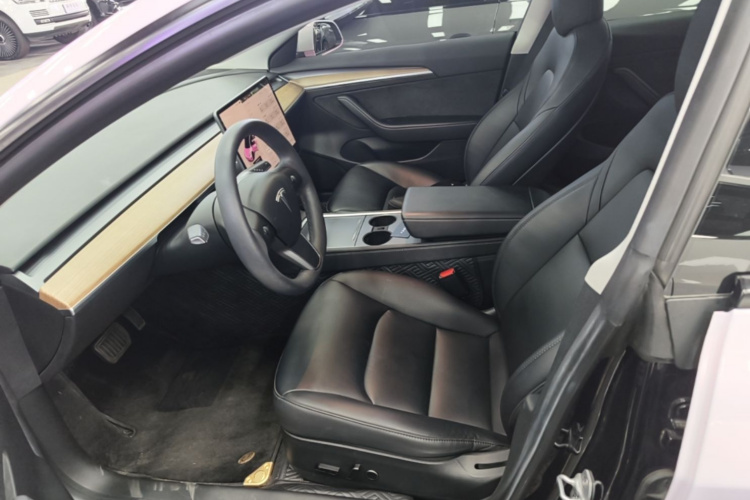 Tesla Model 3 2022 immagine di auto #19