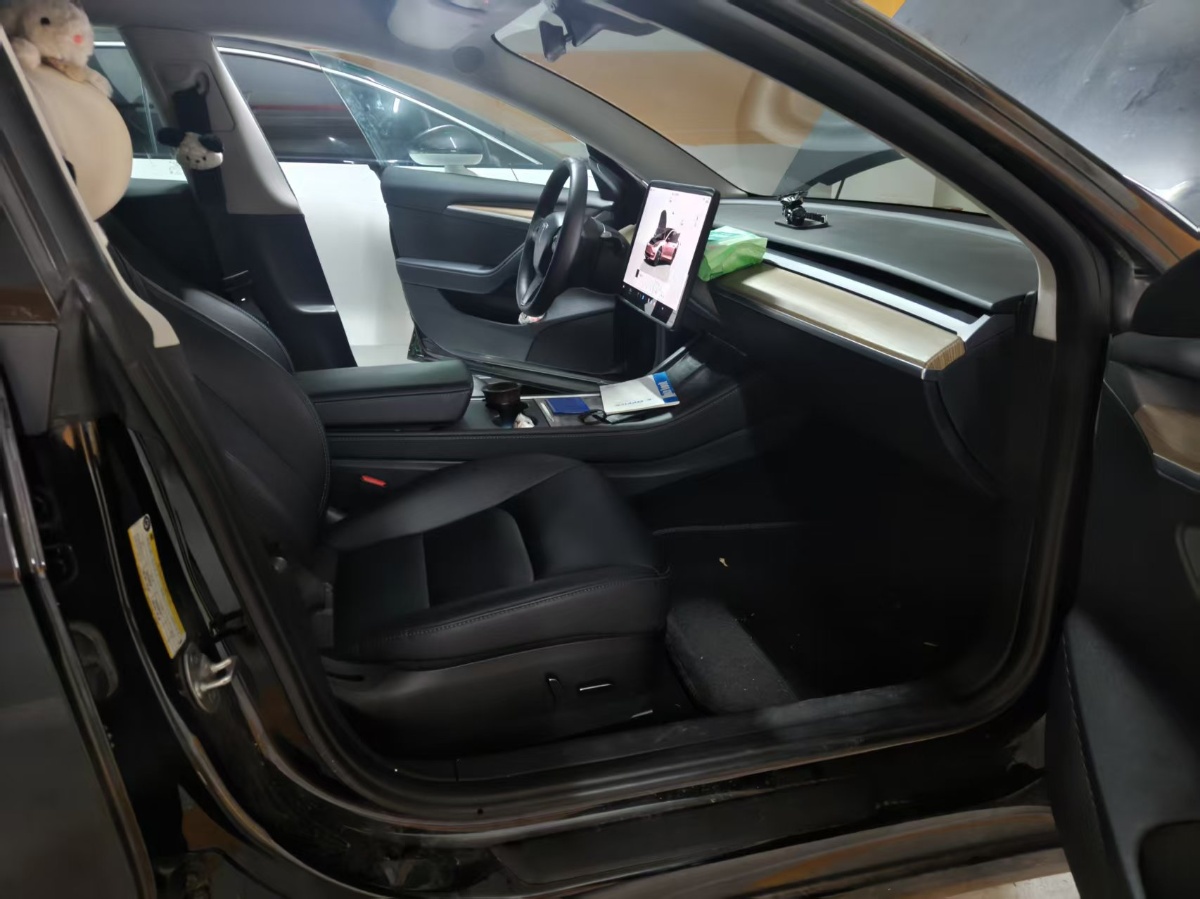 Tesla Model 3 2023 car image #3