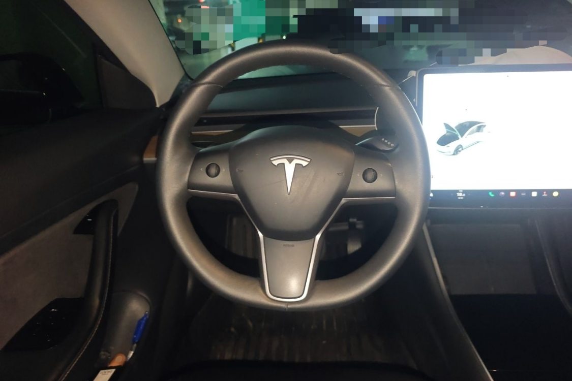 Tesla Model 3 2020 #24 Tesla Model 3 2020 car image #24