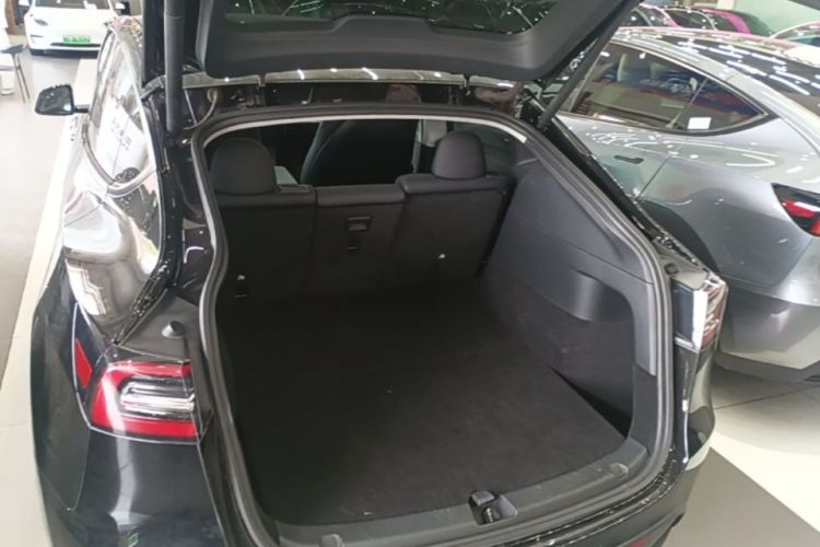 Tesla Model Y 2021 car image #21