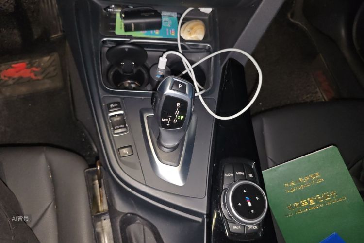 BMW 3 Series 2017 car image #16