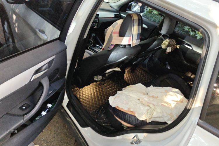BMW X1 2017 #19 BMW X1 2017 imagen de coche #19