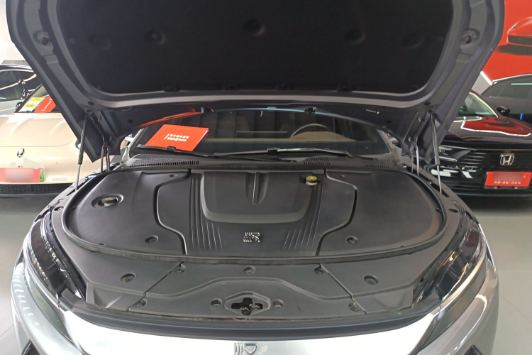 BYD Han 2021 imagen de coche #20