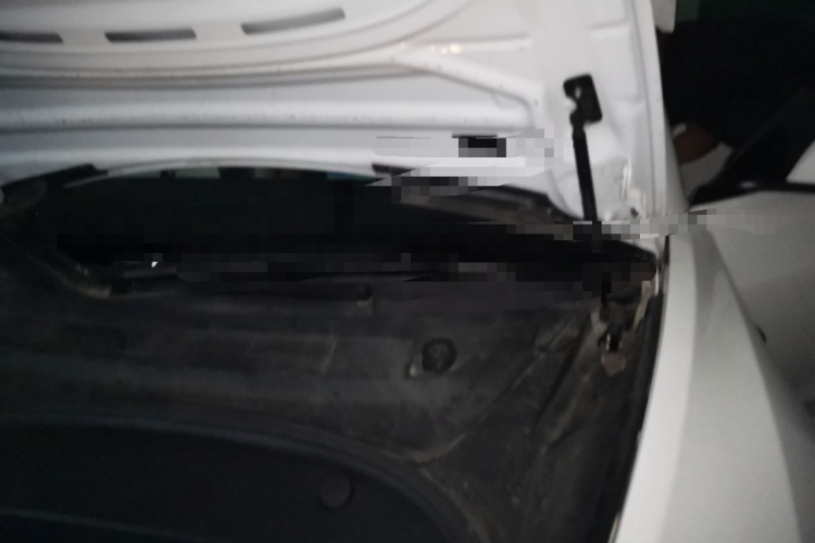 Tesla Model 3 2022 #25 Tesla Model 3 2022 car image #25