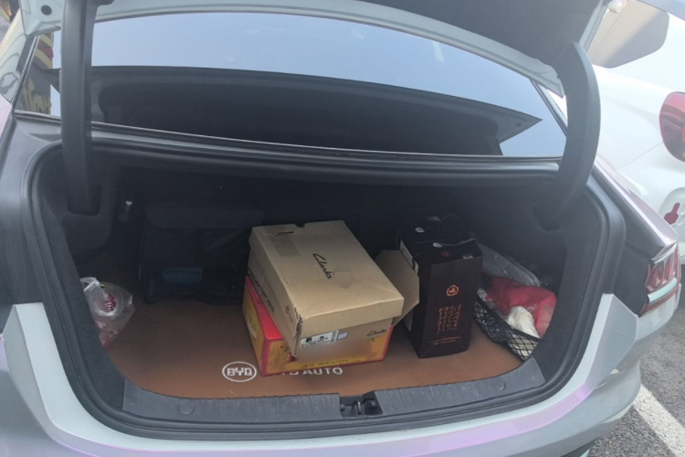 BYD Han 2021 car image #19