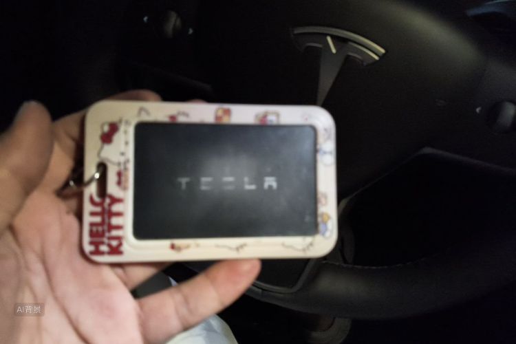 Tesla Model 3 2021 #10 Tesla Model 3 2021 car image #10