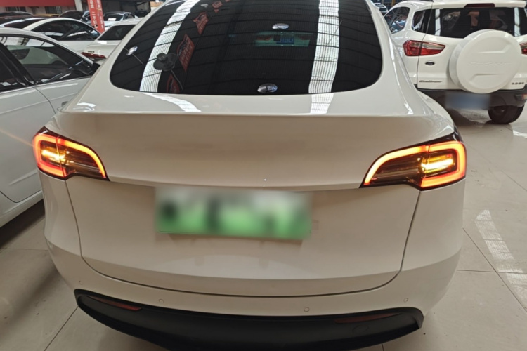 Tesla Model Y 2021 #6 Tesla Model Y 2021 car image #6