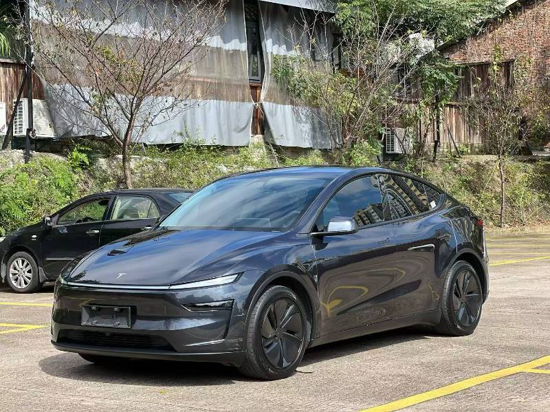Tesla Model Y 2025 car image 