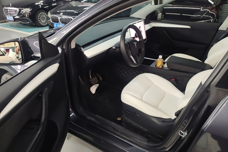 Tesla Model Y 2022 immagine di auto #16