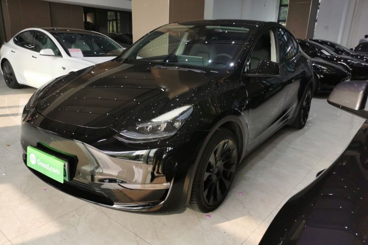 Tesla Model Y 2021 car image #2