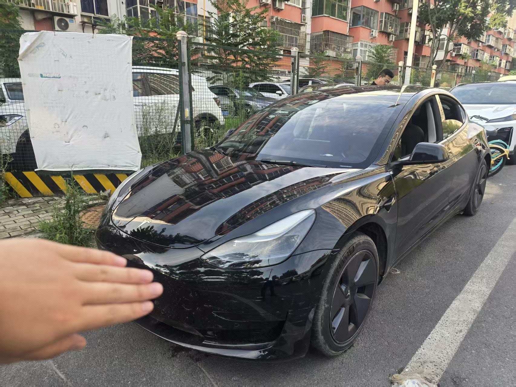 Tesla Model 3 2021 car image 