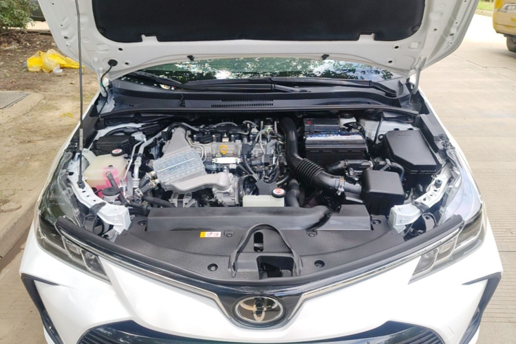 Toyota Corolla 2021 #20 Toyota Corolla 2021 car image #20